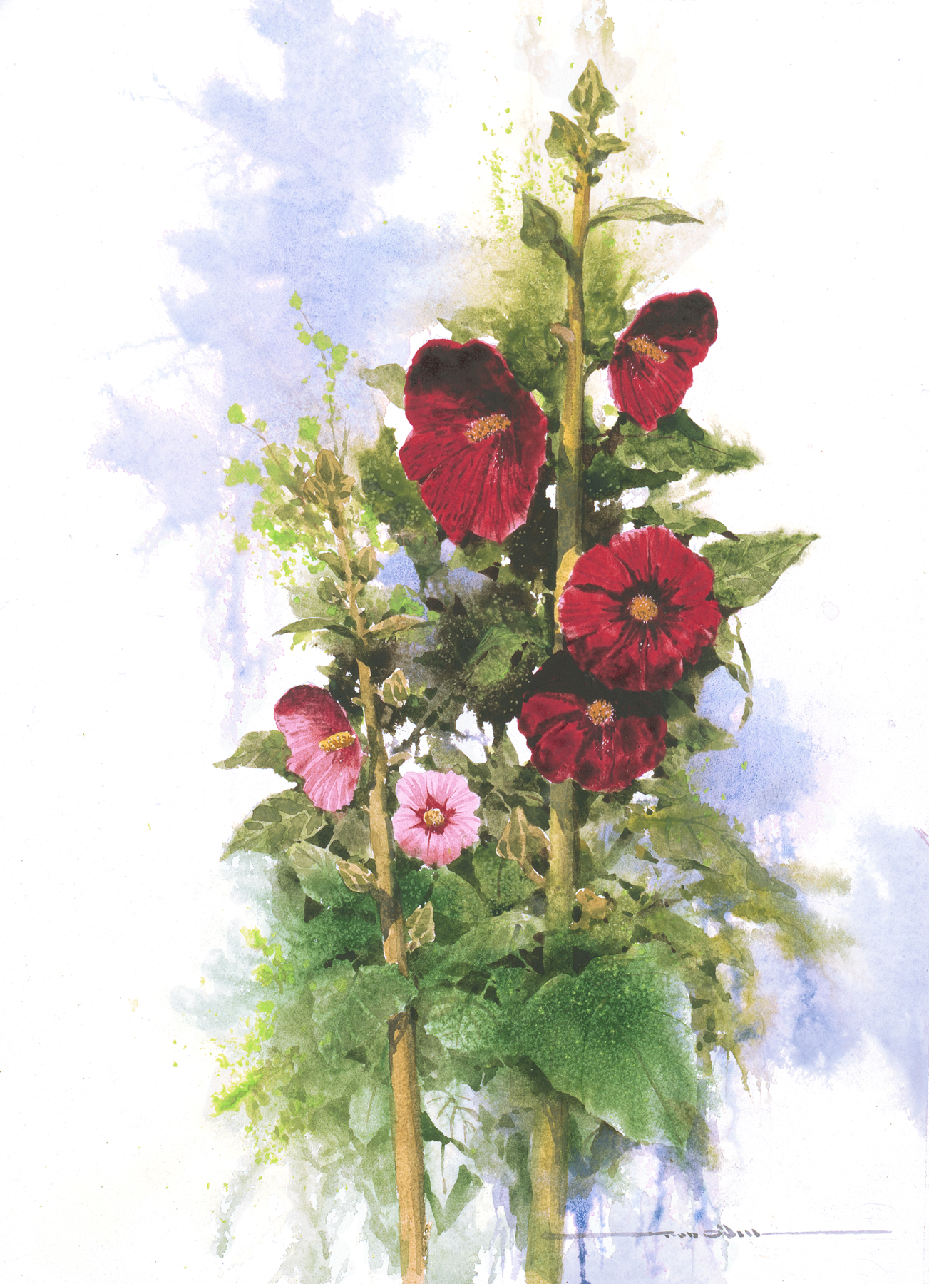 hollyhocks giclee ll